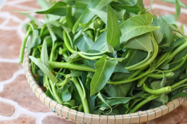 Lấy rau muống tươi rửa thật sạch, để ráo nước sau đó đem xay hoặc giã nát vắt lấy nước cốt để uống.
