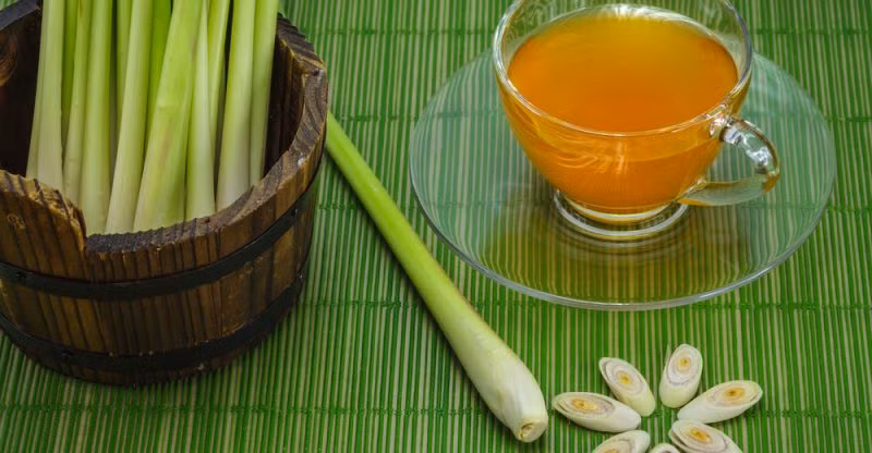 Sả là một phương thuốc truyền thống trị cao huyết áp. Trà sả chanh có thể làm giảm chỉ số huyết áp đáng kể.