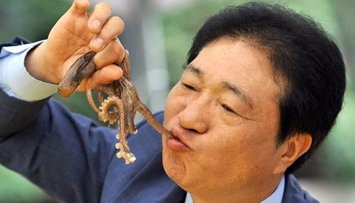 Không chỉ kinh dị về phần nhìn, cả việc ăn Sannakji cũng khiến nhiều người sợ vì các xúc tu của bạch tuộc có thể bám vào cổ họng gây tắc thở cho thực khách.