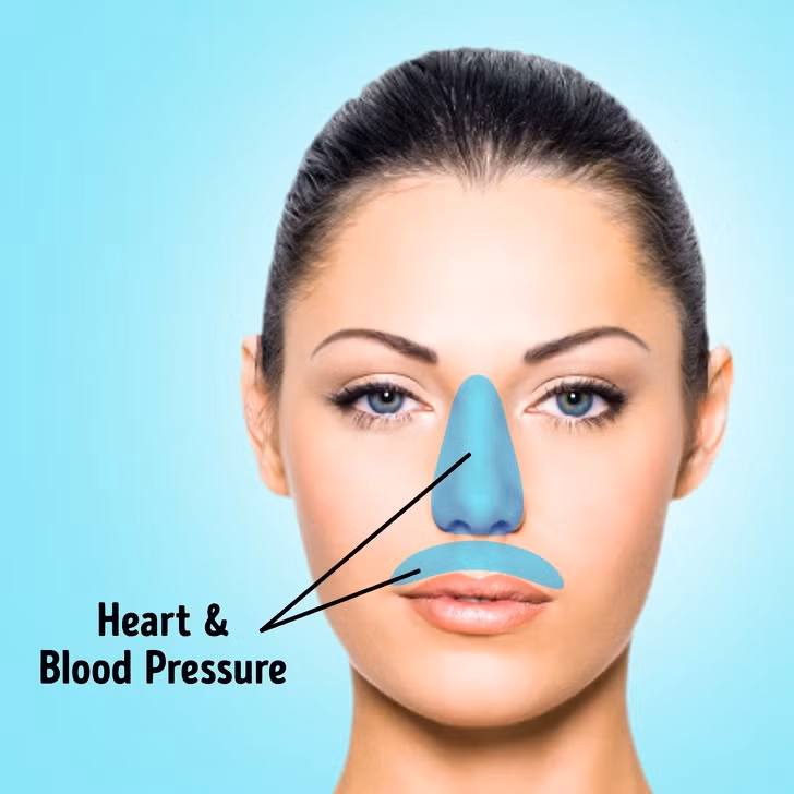 Mụn trứng cá trên mũi cảnh báo bạn ăn quá nhiều thức ăn cay, mặn và nhiều dầu. Hãy cắt giảm lượng thực phẩm này. Ngoài ra, chú ý đến sức khỏe tim mạch và huyết áp của bạn. Mụn trứng cá trên môi trên và đầu mũi có thể do tim, lá lách hoặc phổi có vấn đề.