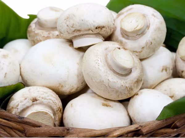 Tất cả các loại nấm đều là nguồn cung cấp vitamin B3. Nấm trắng có chứa một niacin lượng đáng kể mà bạn nên bổ sung hàng ngày.