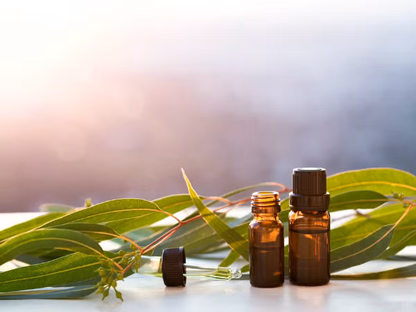 Trước khi đi ngủ, thêm một vài giọt tinh dầu vào bộ khuếch tán tinh dầu. Mùi bạch đàn lan tỏa trong không khí sẽ làm sạch đường mũi. Ảnh: Boldsky.