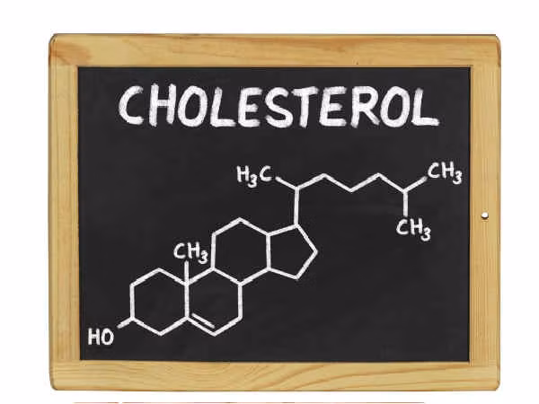 Cá có khả năng làm giảm cholesterol trong cơ thể. Cá có chứa axit béo omega-3 giúp giảm LDL (cholesterol xấu) trong cơ thể.