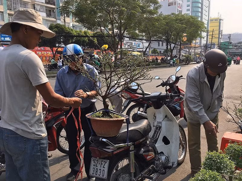 Những người bán mai bon sai dễ bán hơn nhưng giá cũng rẻ hơn mọi năm. Những người bán mai bon sai dễ bán hơn nhưng giá cũng rẻ hơn mọi năm.