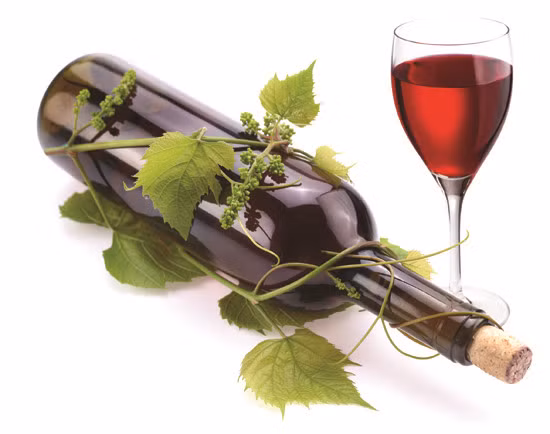 Rượu vang đỏ có chứa resveratrol, hợp chất sửa chữa ADN, ngăn chặn các gien khối u và giúp tăng tuổi thọ. Uống một ly rượu vang đỏ mỗi ngày giúp giảm căng thẳng và lo lắng.