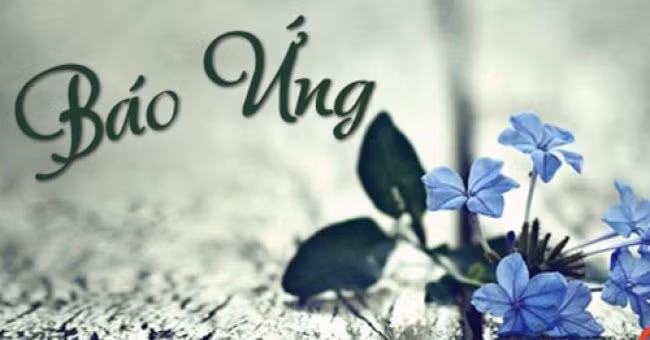10 toi ac se phai nhan qua bao ghe so nhat-Hinh-2