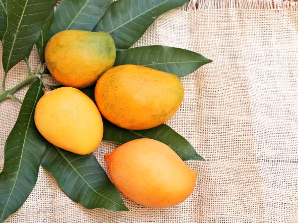 Xoài là trái cây ưa thích của mùa hè, có lượng vitamin C cao. Bạn có thể làm nhiều món với xoài như sinh tố, bánh ngọt...Ảnh: Boldsky.