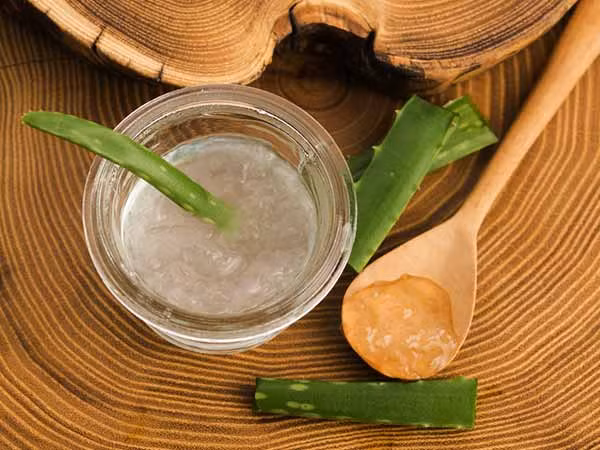 Massage gel lô hội trên trán trước khi đi ngủ và trước khi rửa mặt vào sáng sớm. Ảnh: Boldsky.