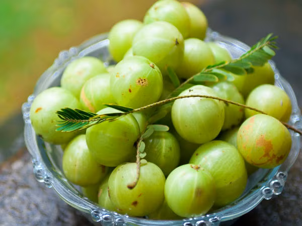 Quả lý gai có tính chất điều trị chứng yếu cơ. Bạn có thể ăn sống hoặc trộn chúng với mật ong để giảm bớt vị chua.