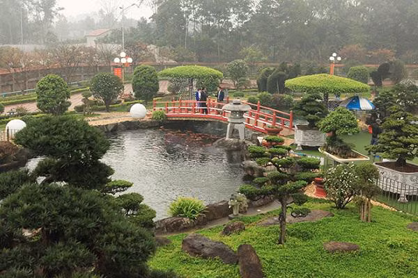 Ngat ngay ngam ho ca Koi Nhat Ban gan 10 ty tai Viet Nam-Hinh-2