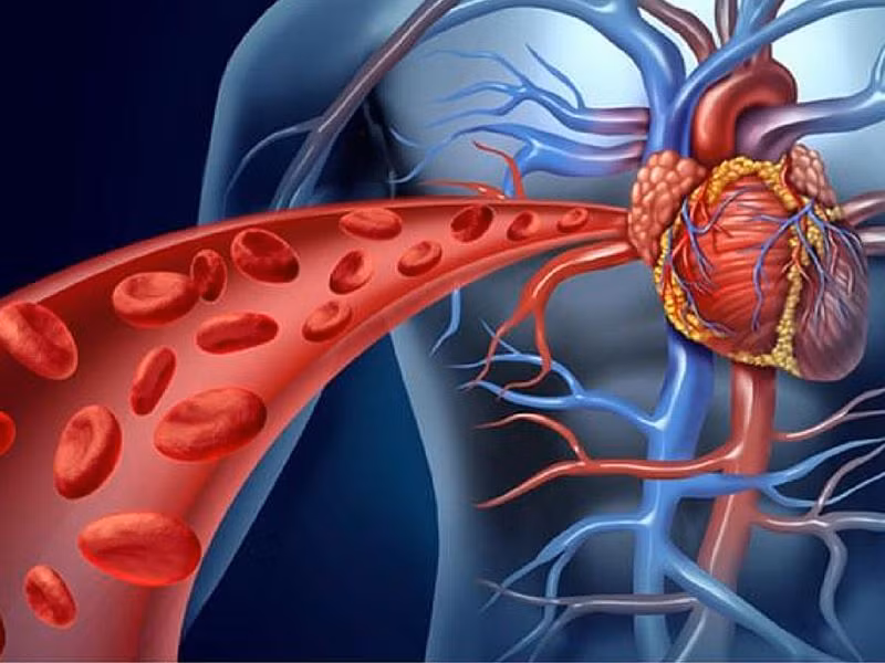 Tăng lưu thông máu: Hàm lượng sắt trong đường dừa sẽ giúp cải thiện lưu thông máu của bạn, điều này có thể làm tăng khả năng oxy hóa và dinh dưỡng.