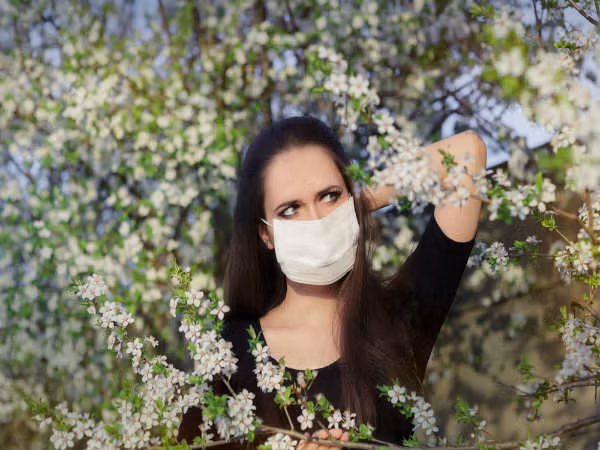 Bạc hà hoạt động như thuốc giảm đau, giúp giảm dị ứng mùa xuân. Nó chứa chất chống viêm, chất chống oxy hóa và chất kháng khuẩn có thể ức chế phản ứng dị ứng. Ngâm 1 muỗng canh lá bạc hà khô trong cốc nước sôi 5 phút và uống nó khi đã nguội.