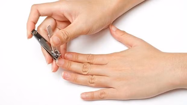 Trong khi nấu thức ăn, bạn luôn đảm bảo rằng móng tay được cắt rửa sạch sẽ và tóc buộc gọn gàng. Điều này sẽ giảm nguy cơ thức ăn bị nhiễm vi khuẩn có hại.
