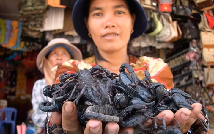 Bò cạp rang muối giòn tan, cho thêm ít ớt vào rang cùng để vị thêm đậm đà. Thưởng thức bò cạp rang muối, vị cay vị mặn cùng vị béo ngậy của bò cạp sẽ làm thực khách khó quên.
