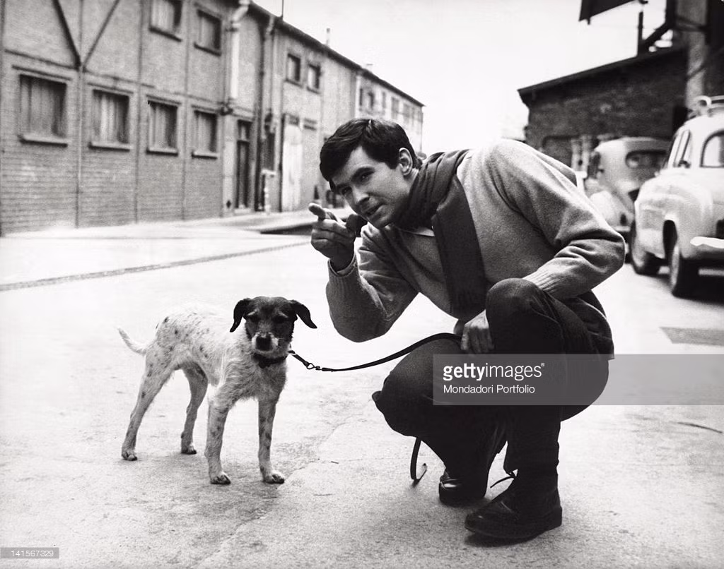 Diễn viên Mỹ Anthony Perkins và chú chó cưng của mình trong một buổi đi dạo, 1962. Ảnh: Getty.
