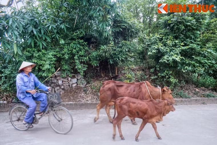 Trong quá trình khảo sát tòa thành huyền thoại này, các nhà khảo cổ đã khai quật được nhiều cổ vật quý giá, tiêu biểu là hàng vạn mũi tên đồng ba cạnh, khuôn đúc mũi tên, rìu lưỡi xéo bằng đồng, và trống đồng.