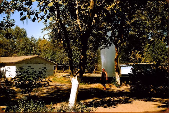 Khung cảnh yên bình tại một ngôi làng ở ngoại ô Tashkent. Ảnh: Jacques Dupâquier.
