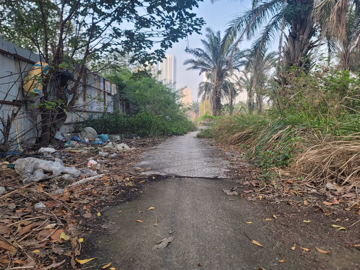 Tuy nhiên, sau 8 năm thi công, Công viên hồ điều hòa Phùng Khoang vẫn dang dở, chưa thể đi vào hoạt động. Bên trong dự án, cây cỏ dại mọc lên um tùm. (Ảnh: Đại Đoàn Kết).