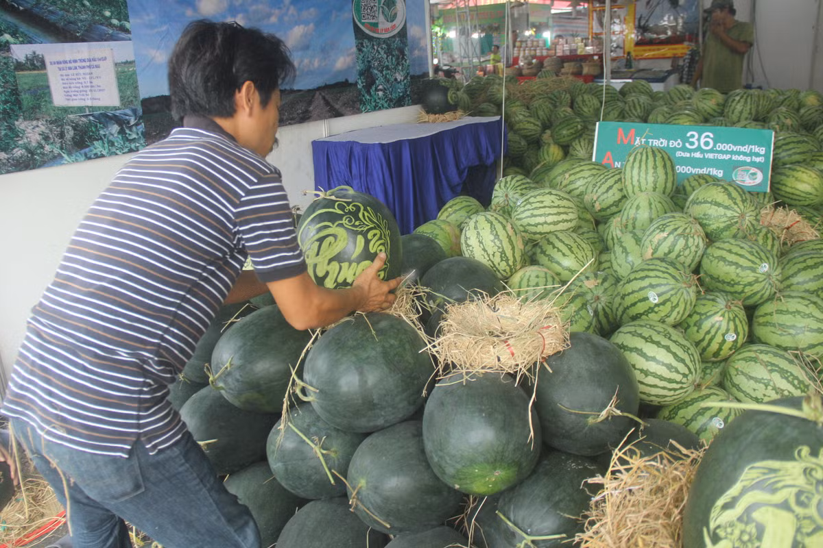 Dua hau 'sieu to khong lo' khac thu phap ban tien trieu moi cap-Hinh-2