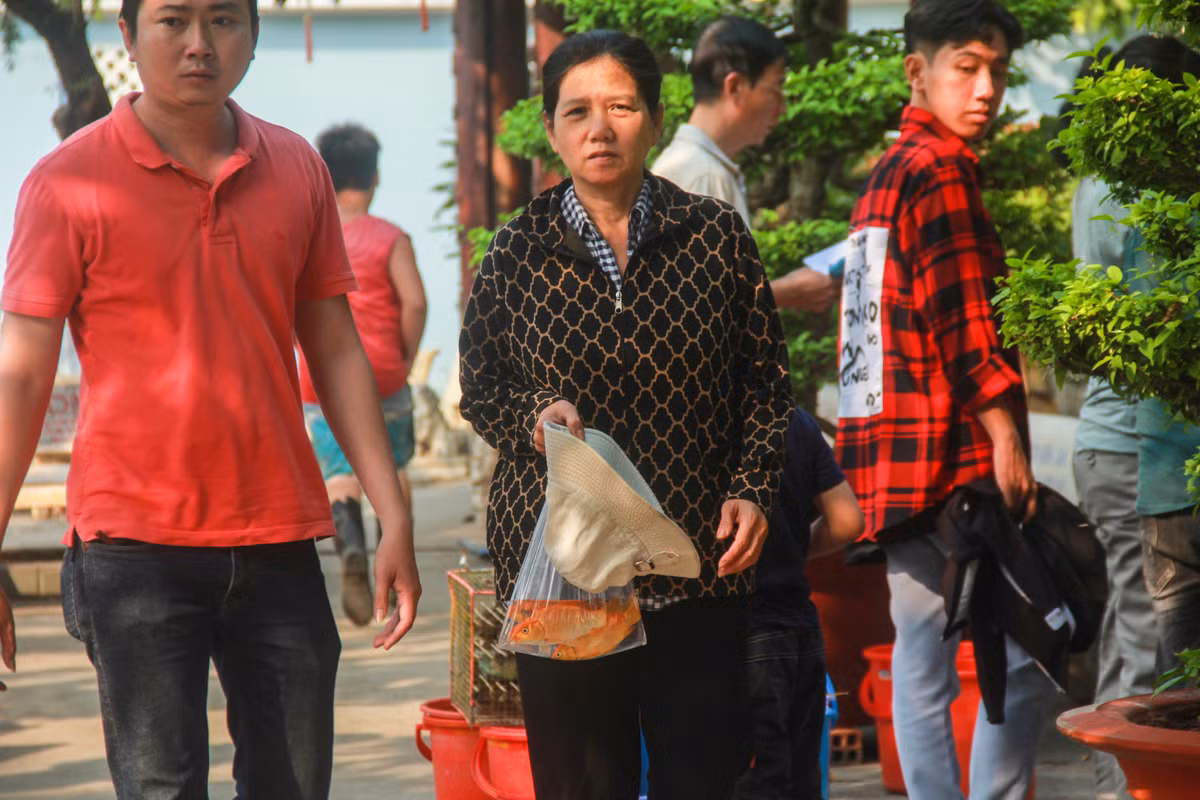 Buc xuc canh chich dien bat ca chep ngay ong Cong, ong Tao