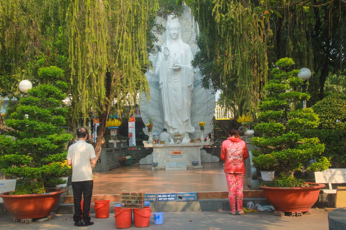 Buc xuc canh chich dien bat ca chep ngay ong Cong, ong Tao-Hinh-2