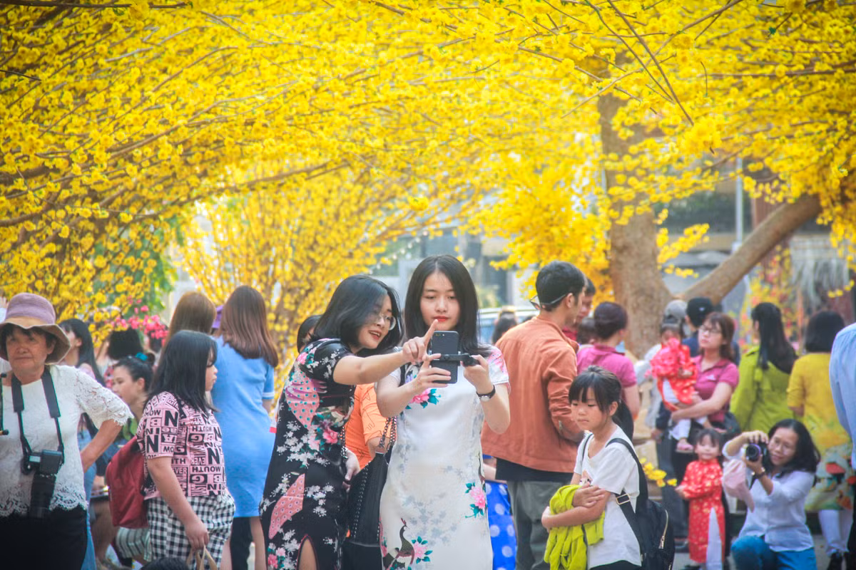 Hotgirl Sài Gòn xúng xính áo dài đến check-in 'đường mai vàng' - Hình 4 Hotgirl Sai Gon xung xinh ao dai den check-in 'duong mai vang'-Hinh-4