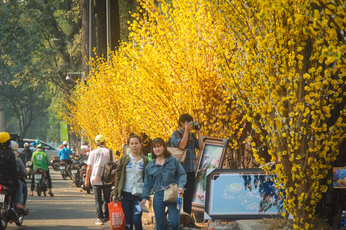 Hotgirl Sài Gòn xúng xính áo dài đến check-in 'đường mai vàng' Hotgirl Sai Gon xung xinh ao dai den check-in 'duong mai vang'