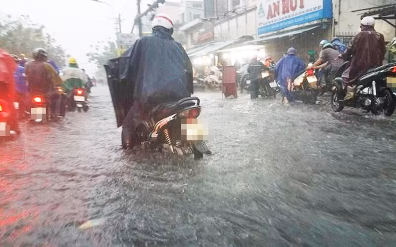 TP.HCM: Đấu thầu nhiều gói tu sửa hệ thống thoát nước ở Quận 4 TP.HCM: Dau thau nhieu goi tu sua he thong thoat nuoc o Quan 4