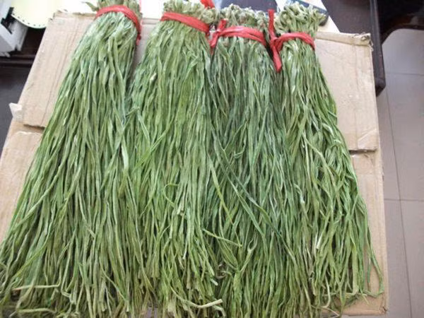 Người miền bắc đặc biệt thích ăn rau cần biển khô bởi hương vị giòn dai đem lại cảm giác rất ngon miệng. Ngoài ra, nó có giá trị dinh dưỡng cao, thường xuyên ăn rau cần biển sẽ giúp làm dịu các dây thần kinh, dạ dày khỏe hơn, giảm mỡ máu... Với rất nhiều giá trị dinh dưỡng, không có gì lạ khi rau cần biển được bán với giá cao và được xem như là một loại thuốc.