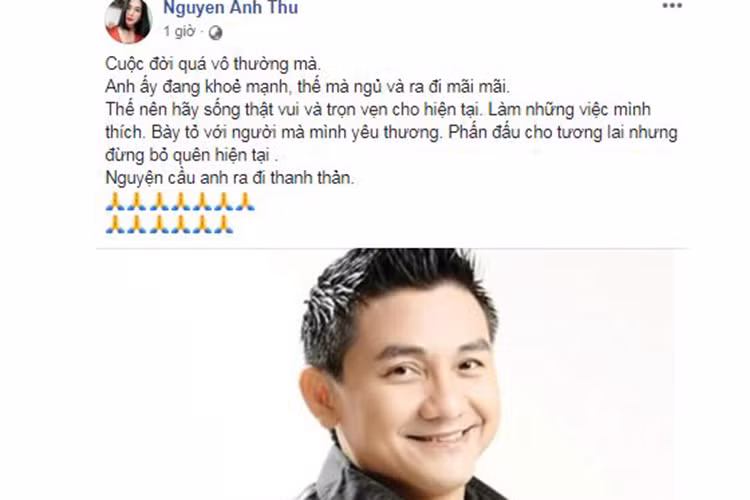 Anh Thư mong Anh Vũ ra đi thanh thản.