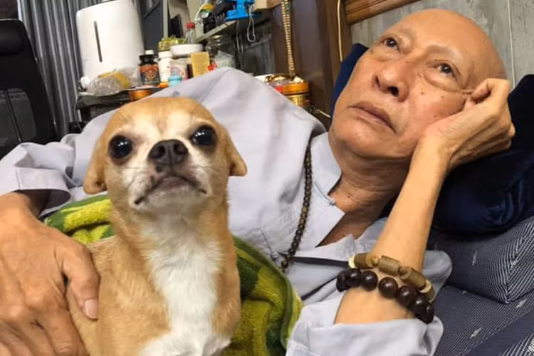 Con trai và con gái nuôi của nghệ sĩ Lê Bình phải lo công việc nên chỉ thăm nom ông sau giờ làm.