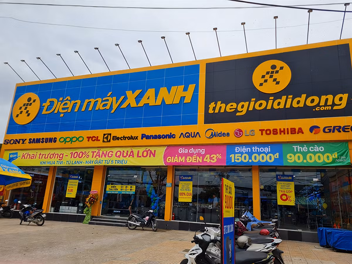 MWG: Bach hoa Xanh, An Khang va Ava Kids muc tieu hoa von khi nao?
