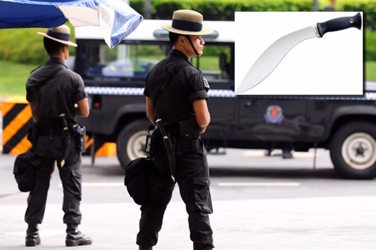 Truyền thống tuyển mộ người Gurkha của Nepal là một phần di sản Singapore thừa hưởng lại từ thời kỳ thuộc địa Anh, và có lẽ chính phủ Singapore cũng công nhận sức mạnh và tính hiệu quả của lực lượng này.