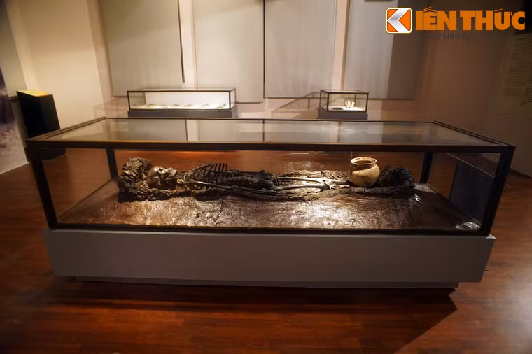 Ngôi mộ cổ này được phát hiện và khai quật vào tháng 9/1974 tại cánh đồng thôn Nội, xã Châu Can, huyện Phú Xuyên, tỉnh Hà Tây Cũ, nay là thành phố Hà Nội.
