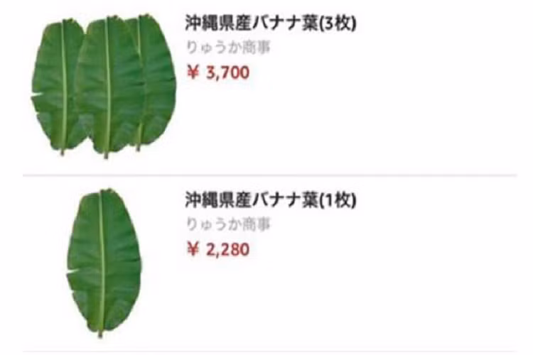 Đặc biệt, trên trang Amazon Nhật Bản, một chiếc lá chuối tươi được niêm yết 2.280 yên (gần 500.0000 đồng/lá). Ảnh: Amazon