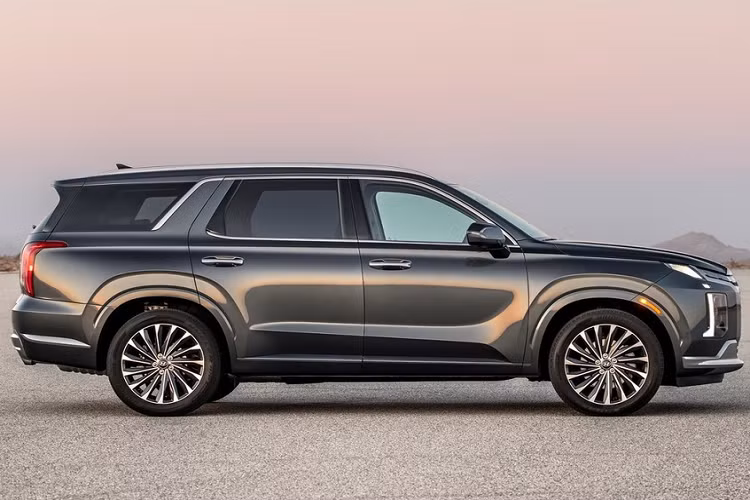 Palisade là một trong những mẫu xe đóng vai trò quan trọng đối với thương hiệu Hyundai. Trong năm 2021, hãng Hyundai đã bán được tổng cộng 86.539 chiếc Palisade cho khách hàng Mỹ, tăng 5% so với năm 2020. Nhờ đó, Palisade là mẫu xe bán chạy thứ 6 của hãng Hyundai ở thị trường Mỹ, sau Tucson (150.949 chiếc), Elantra (124.422 chiếc), Santa Fe (112.071 chiếc), Sonata (93.142 chiếc) và Kona (90.069 chiếc).