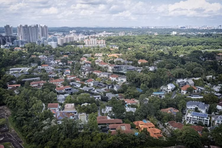 Tại Singapore, nhiều người trẻ giàu có đã tìm mua các căn nhà gỗ hạng sang để ở.