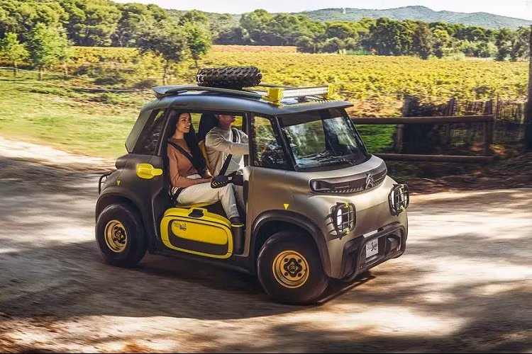 Với lô 50 xe đầu tiên, giá xe Citroen Ami Buggy có mức bán ra chỉ từ 9.790 Euro (khoảng 247 triệu đồng), rẻ hơn cả những mẫu xe hạng A đang bán tại Việt Nam như Kia Morning hay Hyundai Grand i10
