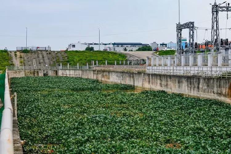 Ha Noi cu mua la ngap, tram bom nghin ty hoat dong ra sao?-Hinh-10