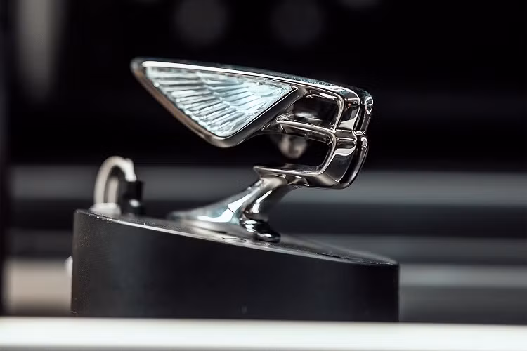 Bentley mới đây đã cho ra mắt phiên bản thứ sáu của linh vật này kể từ khi logo này xuất hiện lần đầu tiên vào giữa những năm 1920. Phiên bản nâng cấp của logo Bentley Flying B lần này không khác biệt quá nhiều so với thiết kế trước đó.