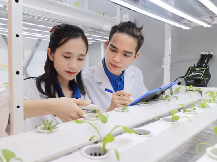 Nữ sinh 10x được kết nạp Đảng từ khi học lớp 12 - Hình 2 Nu sinh 10x duoc ket nap Dang tu khi hoc lop 12-Hinh-2