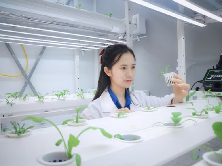 Nữ sinh 10x được kết nạp Đảng từ khi học lớp 12 - Hình 3 Nu sinh 10x duoc ket nap Dang tu khi hoc lop 12-Hinh-3