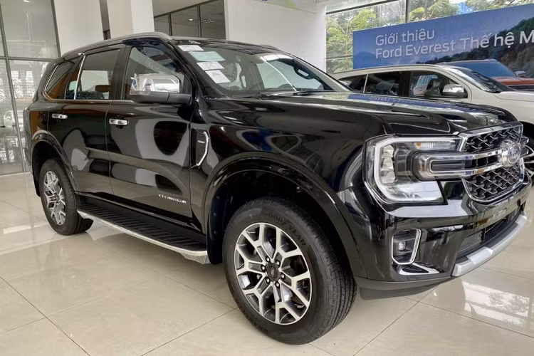 Huy Khánh là một nam diễn viên và MC, ngoài ra anh còn tham gia trong các lĩnh vực nghệ thuật như thời trang, điện ảnh, truyền hình và sân khấu. Huy Khánh được khán giả biết đến rộng rãi lần đầu tiên qua bộ phim Dốc tình năm 2004 của đạo diễn Lưu Trọng Ninh. 5 năm sau đó, anh gây tiếng vang với bộ phim Chuyện tình xa xứ của đạo diễn Việt kiều Victor Vũ. Năm 2011, anh tiếp tục hợp tác với Victor Vũ khi đóng trong phim Cô dâu đại chiến.