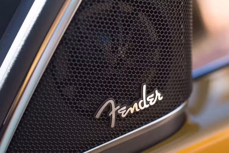 Fender nổi tiếng về guitar, loa guitar, amply hơn là các hệ thống âm thanh tiêu dùng, nhưng cũng đừng vì thế mà đánh giá thấp thương hiệu này. Fender có khả năng xử lý tốt âm thanh với đa dạng các thể loại nhạc từ blues, country, Rock and Roll hoặc thậm chí Rock Metal. Âm thanh của Fender mang đến cảm giác rõ ràng, ấm, chân thực như đang ở trong studio.