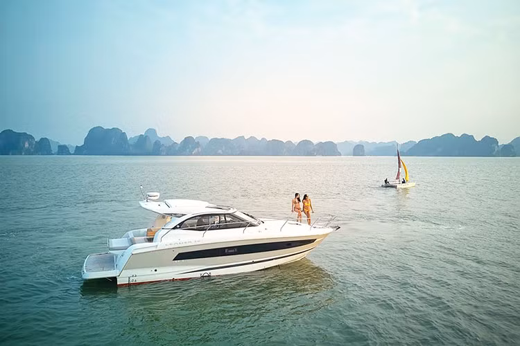 Công ty đấu giá hợp danh Minh Pháp cho biết, phương tiện thuỷ nội địa mang tên siêu du thuyền FLC Albatross, số đăng ký HN – 2014 do Sở giao thông vận tải thành phố Hà Nội cấp ngày 15/11/2018, chủ phương tiện là công ty cổ phần tập đoàn FLC, năm đóng là 2017 tại Ba Lan.