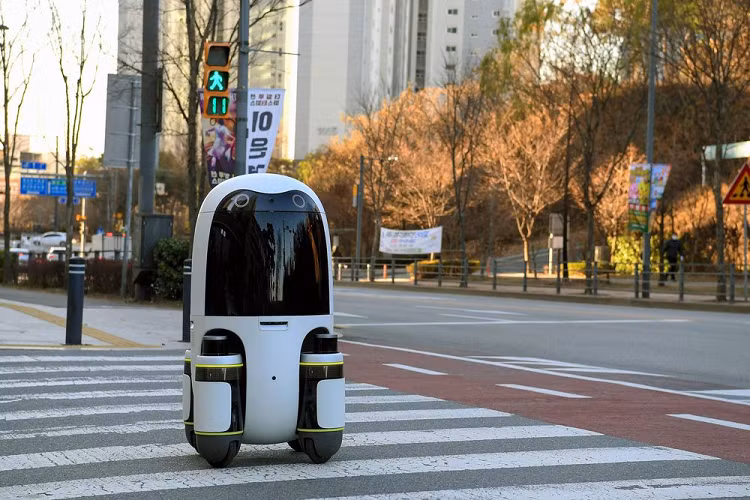 Robot của Hyundai cũng đã được công ty giao hàng Woowa Brothers của Hàn Quốc sử dụng để thử nghiệm giao hàng tại một khu dân cư ở Seoul.
