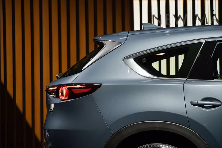 Nếu trong tương lai gần, Mazda CX-8 tại Việt Nam được bổ sung thêm phiên bản máy dầu và màu sơn Xám mới (hợp với khách hàng trẻ), thì chắc chắn dòng xe này sẽ tăng sức cạnh tranh hơn với các đối thủ trong tầm giá như Hyundai SantaFe hay Honda CR-V.