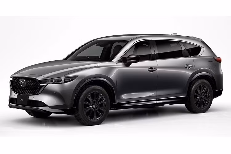 Bên trong Mazda CX-8 2023 là không gian nội thất 6 chỗ hoặc 7 chỗ như cũ. Thiết kế nội thất vẫn tạo cảm giác quen thuộc vì ít thay đổi. Hãng Mazda chỉ bổ sung đệm ghế và lò xo mới để cải thiện độ ổn định cho thân trên của người ngồi khi xe ôm cua. Bên cạnh đó là cổng USB Type C mới và màn hình cảm ứng trung tâm hỗ trợ Apple CarPlay không dây.