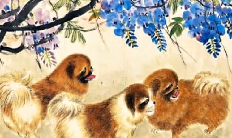 Họ tỏa sáng rực rỡ, đón nhận của cải từ muôn phương, của cải sẽ bùng nổ, mọi cơ hội tốt sẽ đến đều đặn, được quý nhân phù trợ, giúp đỡ trong sự nghiệp, có hi vọng thăng quan tiến chức. Ảnh minh họa.