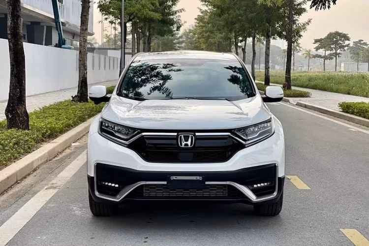 Ford Territory 